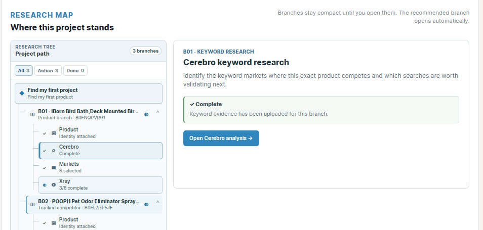 Real Research Map with a completed Cerebro node and Open Cerebro analysis action